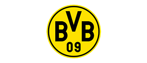 Deinelektroladen partner bvb